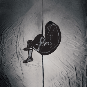 范冰冰下面B被男人添
